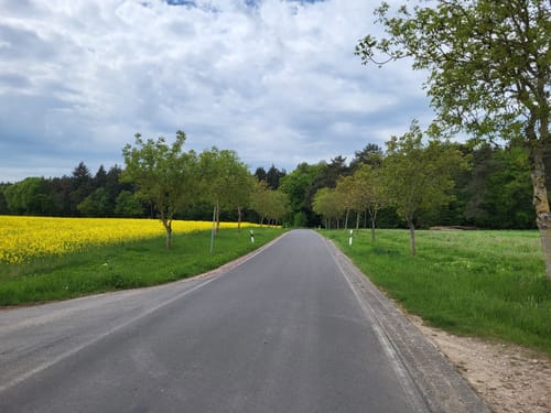 Dockendorf - Wolfsfeld (Naturpark Südeifel Wanderweg Nr. 89)