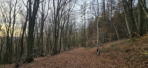 A5 Bad Oeynhausen-Dehme