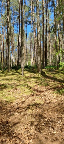 Rundweg am Jägersburger Felsbach