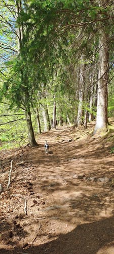 Rundweg am Jägersburger Felsbach
