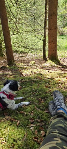 Rundweg am Jägersburger Felsbach