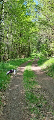 Rundweg am Jägersburger Felsbach