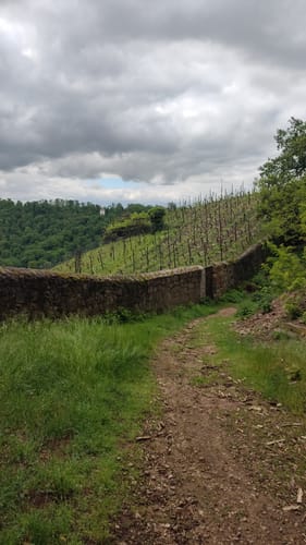 Spaargebirge Boselberg