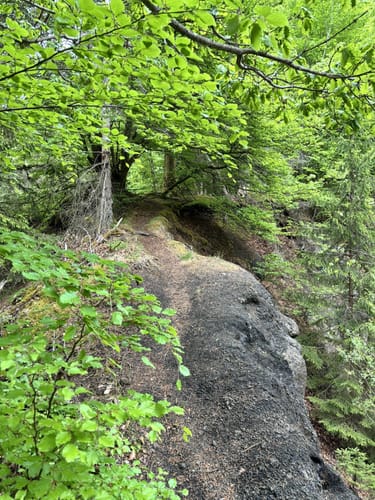 Steinperfer Runde (Extratour)