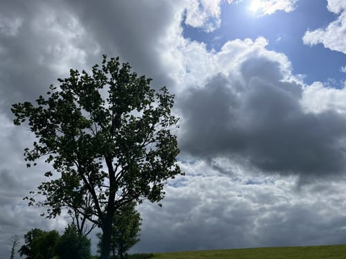 Rund um Vilkerath
