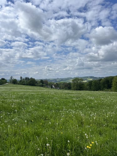 Rund um Vilkerath