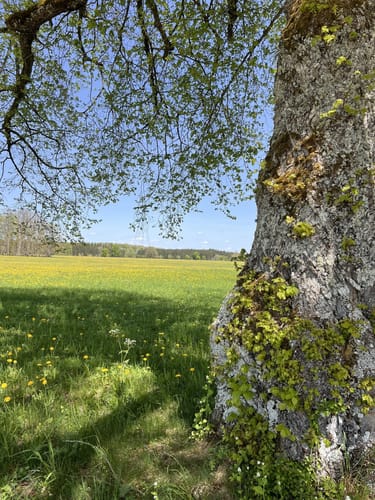 Finstertal Rundweg