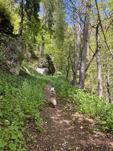 Finstertal Rundweg