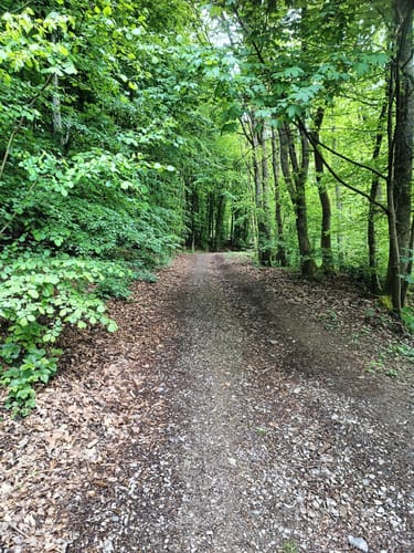 Obersdorfer Rundweg bei Siegen
