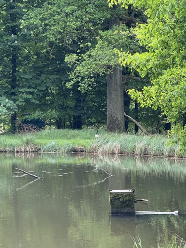 Aus Büdingen zum Thiergartenweiher