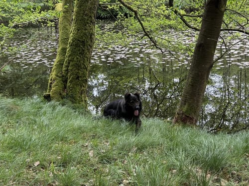 Aus Büdingen zum Thiergartenweiher