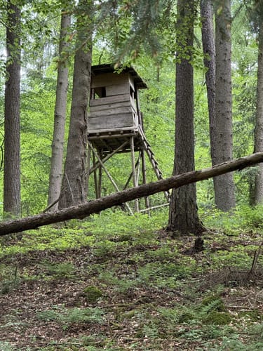 Aus Büdingen zum Thiergartenweiher