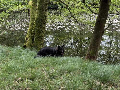 Aus Büdingen zum Thiergartenweiher