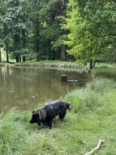 Aus Büdingen zum Thiergartenweiher