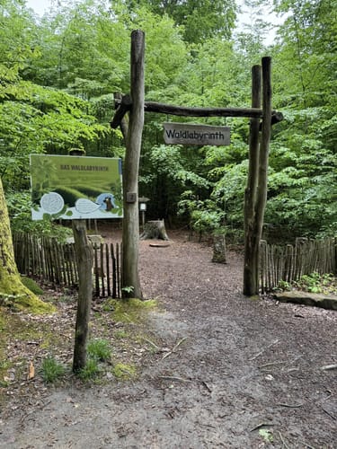 Spessart - Brandberg