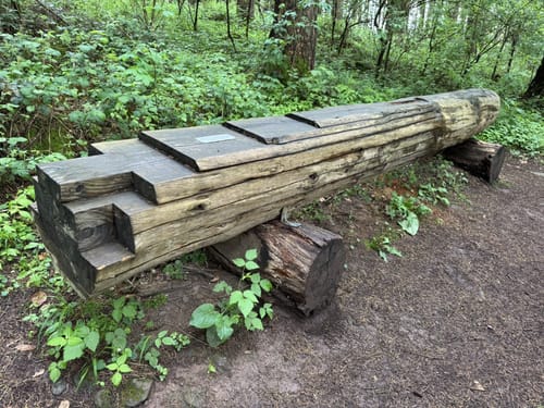 Spessart - Brandberg