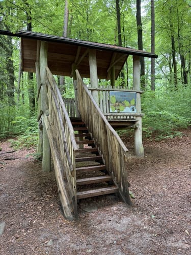 Spessart - Brandberg