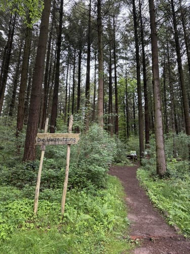Spessart - Brandberg