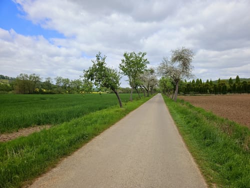 Der Hitgenheierweg in und um Willebadessen