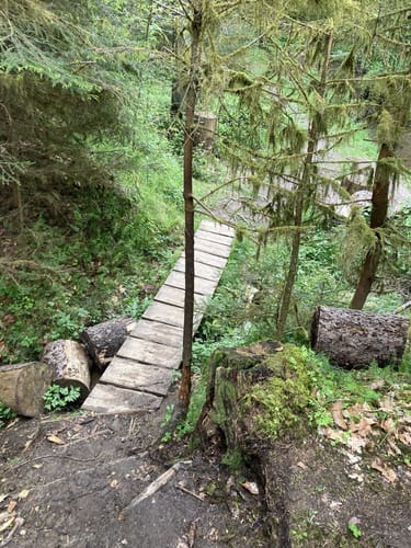 Nesselmühle - Naturlehrpfad - Nessenbach