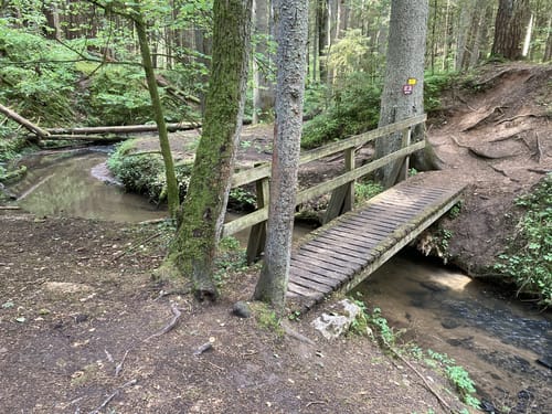 Nesselmühle - Naturlehrpfad - Nessenbach