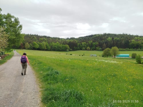 Rundwanderweg Grasellenbach 8: Erlebniswanderweg Fürth-Grasellenbach