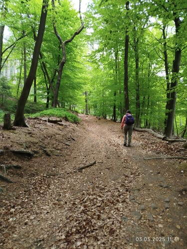 Rundwanderweg Grasellenbach 8: Erlebniswanderweg Fürth-Grasellenbach