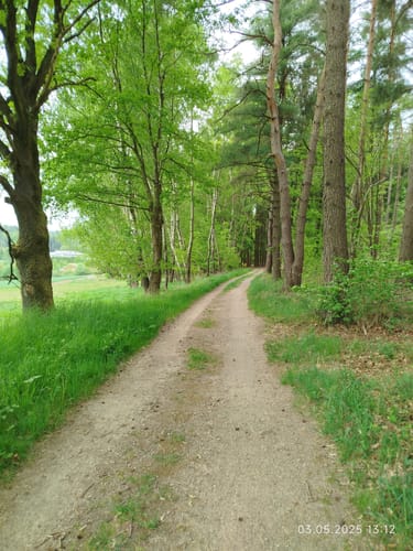 Rundwanderweg Grasellenbach 8: Erlebniswanderweg Fürth-Grasellenbach