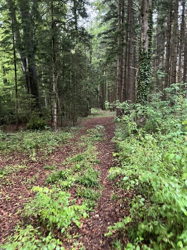 Ab nach Berbling (Wanderweg Ai7)