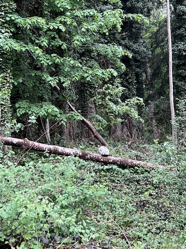 Ab nach Berbling (Wanderweg Ai7)