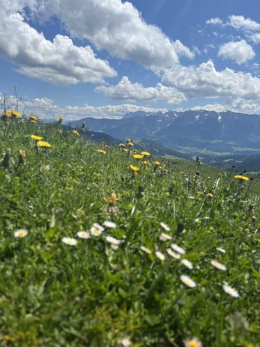 Almwanderung Goglalm
