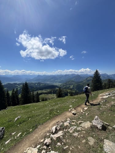 Almwanderung Goglalm