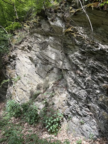 Ruine Balduinsburg Rundweg