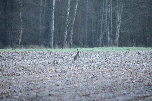 Lage/Schiphorst-Schiffhorst Oranje Wandelroute