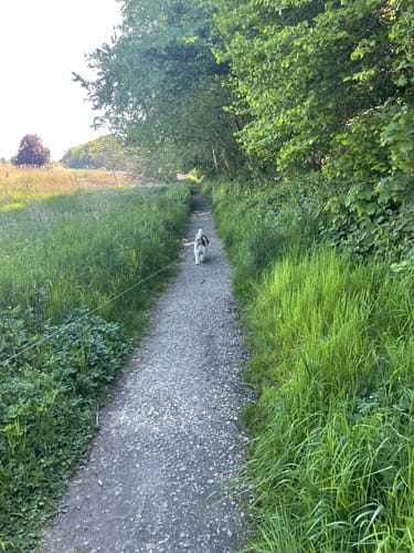 Langballigau Runde