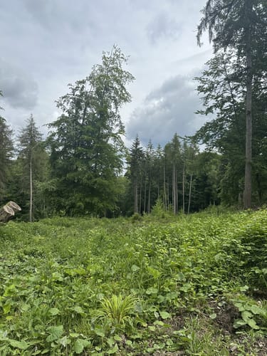 W4 Rundwanderweg Wennigsen 4