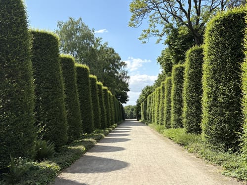 Auf gräflichen Spuren in der Löchterheide