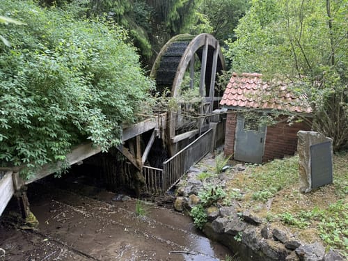 Welliehausen - Rohdetal