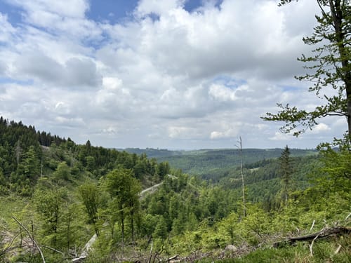 Latrop, Schanze und Grenzweg