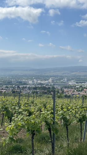 Kaiserpfalzweg