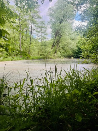 Mühlenbachtal und Hahnheide ab Trittau