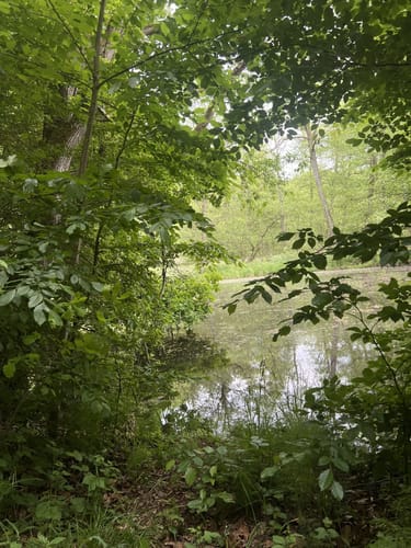 Mühlenbachtal und Hahnheide ab Trittau