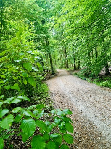 Mühlenbachtal und Hahnheide ab Trittau