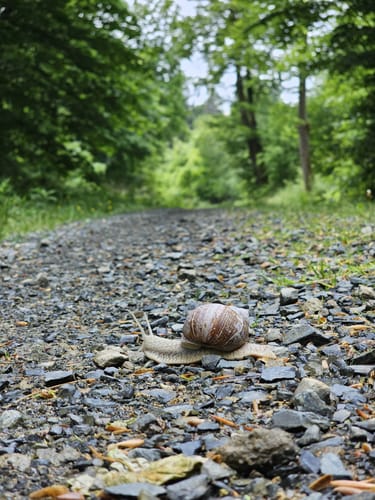 Auf dem Kaiserweg: Pferdchen - Helenenruh - Bremer Klippen