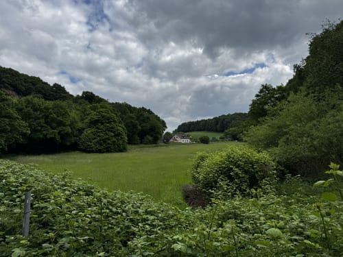 Stadtforst Vormholz - Muttental