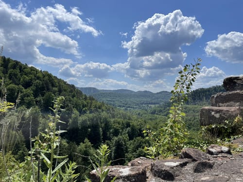 Ruines du Blumenstein et du Wasigenstein - Rocher Almenfels
