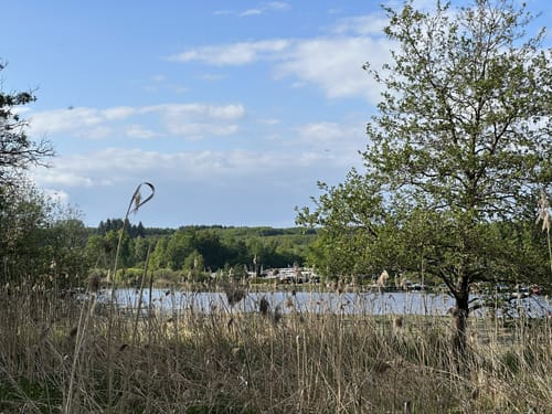 Um den Nieder-Mooser Teich und Ober-Mooser Teich