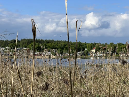 Um den Nieder-Mooser Teich und Ober-Mooser Teich