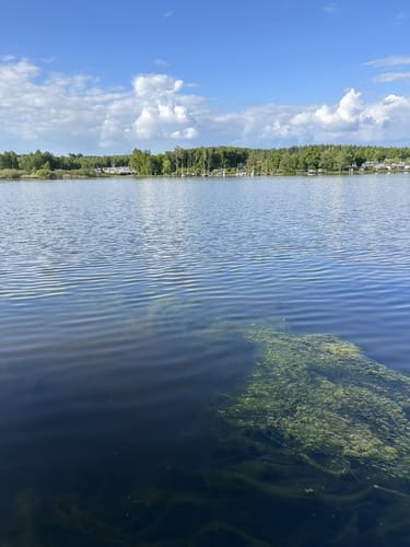 Um den Nieder-Mooser Teich und Ober-Mooser Teich