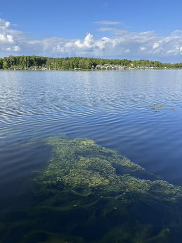 Um den Nieder-Mooser Teich und Ober-Mooser Teich